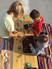 DPM Jurcek, kostanjev piknik, okt 2019, foto DPM Jurcek (13)